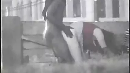 אמן האיסוף הורידה את הפרשים ממש בריצה ונתנה אותם לפיה סרטי פורנו לצפיה בחינם במכונית.