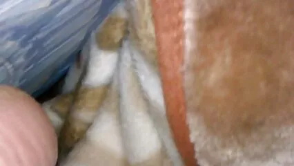 הבחור משמח את הבחורה עם סרטי פורנו לצפיה בחינם סוף גדול.