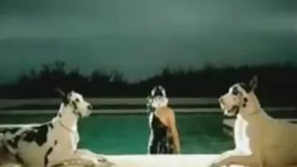 לסביות מוצצות זין דרך חורים. סרטוני פורנו עם לורן פיליפס, שרה סרטי פורנו לצפייה ישירה בחינם סנט קלייר