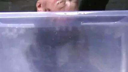 גבר שחור עם בריח גדול מזיין אישה סרטי פורנו לצפייה חינם אסייתית, ובעלה מלקק את רגליה של כלבה.