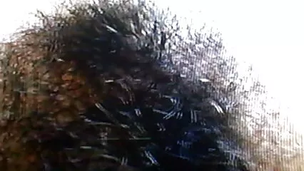 אחרי פאקינג, הוא סיים על סרטים לצפייה ישירה פורנו התחת ובגב.