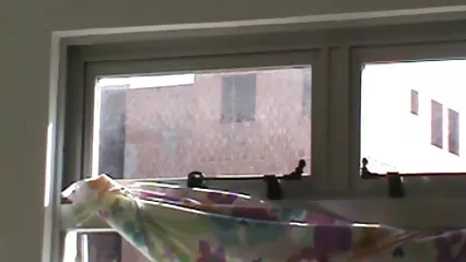 קניתי לעצמי מכונת סקס סקס חינם לצפייה כדי לאונן כוס רטוב.