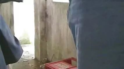 מין יפהפה של לסביות סרטי סקס צפיה ישירה המלקקות זו את הכוס של זו ואנאלי.