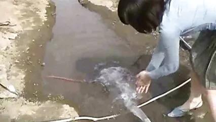 החבר'ה הזמינו מעסה לבית וזיין כלבה צפיה ישירה בסרטי סקס חזה.